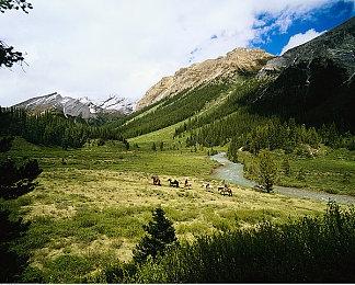 《蕾丝莱利安娜的炼金工房》开发者访谈 自信主线会获好评